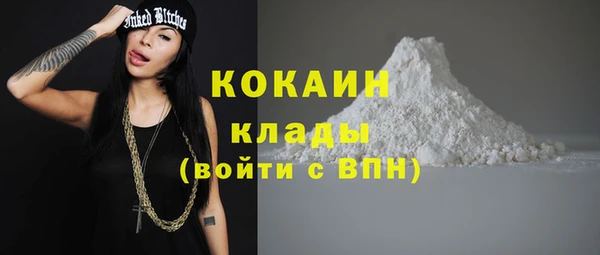 ГАЛЛЮЦИНОГЕННЫЕ ГРИБЫ Наволоки