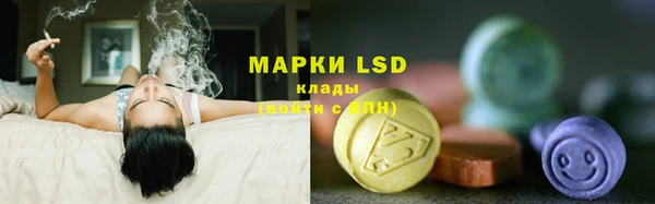 ГАЛЛЮЦИНОГЕННЫЕ ГРИБЫ Наволоки