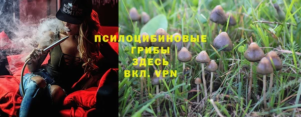 ешки Ахтубинск